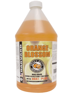Orange Blossom HC706-04 706
